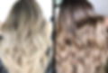 root-shadow_edited.jpg