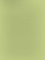 멘토링 프로그램에 대한 고찰