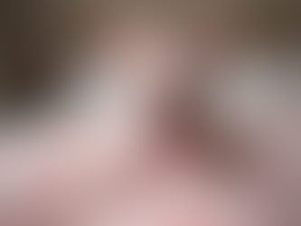 Why Pink Fluffy Frenchies Are So Beloved