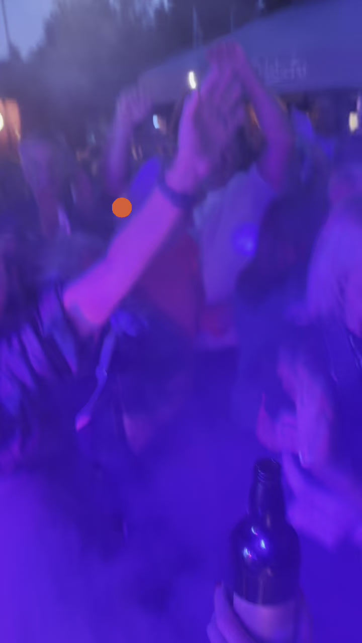 twins video 6.MOV