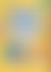 ISIC 2025 国际科学与创新大赛（2025旅美科协联合年会外延活动）圆满落幕！