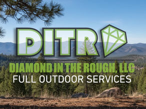 Diamond in the Rough logo banner