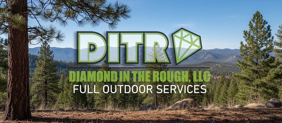 Diamond in the Rough logo banner