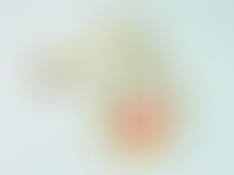 Show Low Health Fair for community