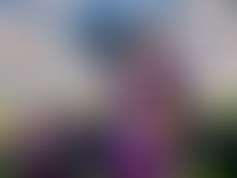 5 Things you can do during Passover