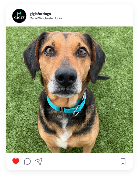 Instagram Post Mockup 1.png