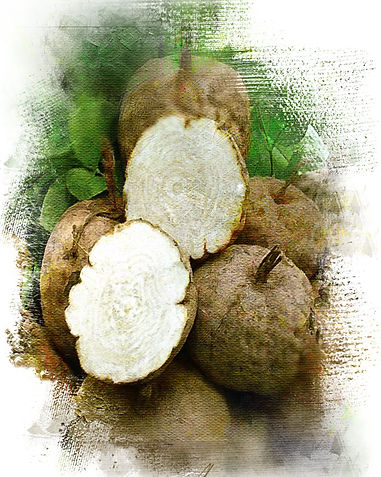 Pueraria.Mirifica.jpg