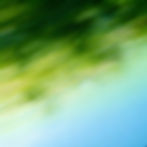 freepik__diagonal-greentosky-gradient-with-streaked-motion-__71395_edited.jpg