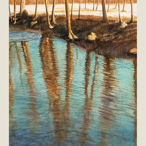 Stream Reflections