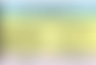 文部省「ゆとり教育」の底知れぬ憂鬱