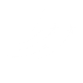 Untitled design (2).png