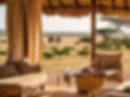 Enjoying an opulent safari experience in Africa, with a luxurious lodge offering stunning views of elephants.