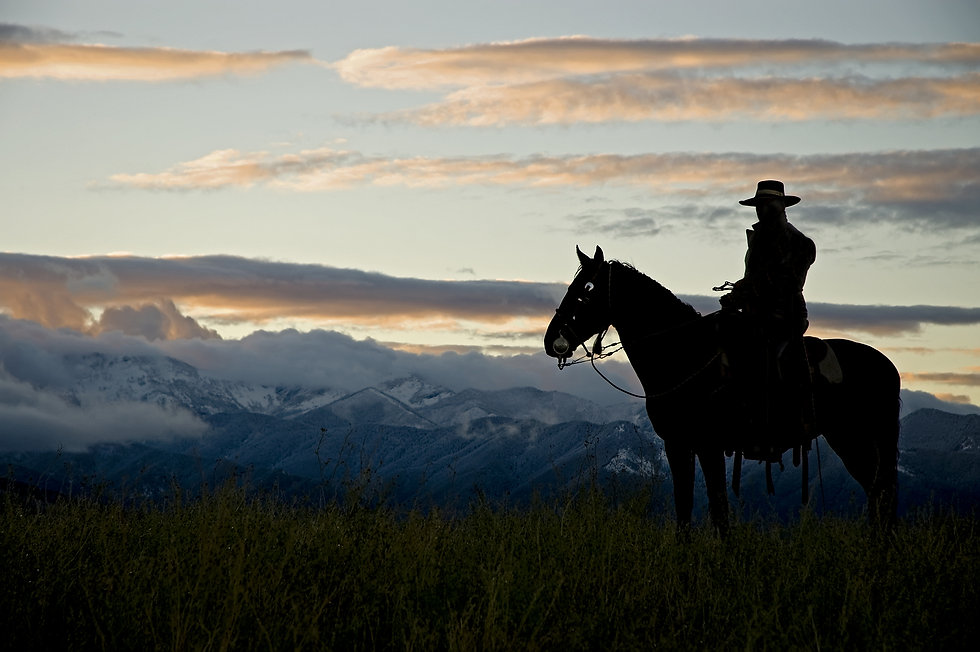 AdobeStock_6033143 (1).jpeg