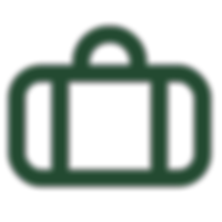 Pasos professional icon.png