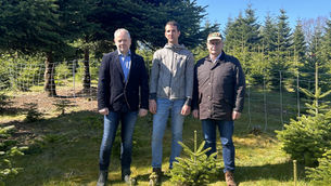 Wolfsrisse belasten Weidetierhalter massiv