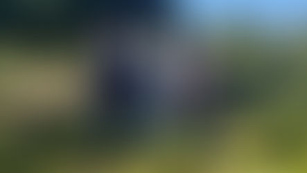 Wolfsrisse belasten Weidetierhalter massiv