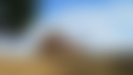 „Zitterpartie“ auf den Feldern: Im Durchschnitt und regional unterschiedlich