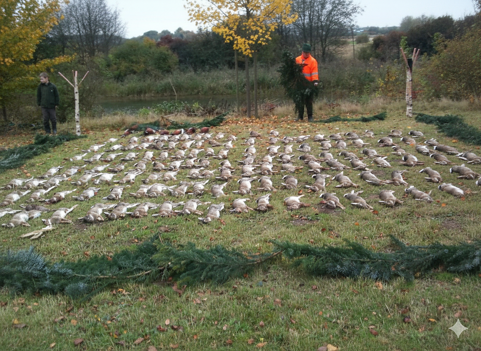 Getrübte Blicke auf die anstehende Niederwildjagd