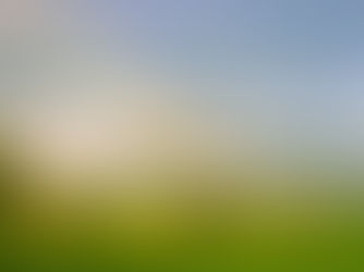 Eine Initiative aus der Jagd für den ländlichen Raum