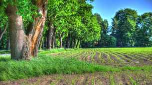 Wie lässt sich das Problem hoher Bodenpreise lösen?