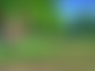 Wie lässt sich das Problem hoher Bodenpreise lösen?