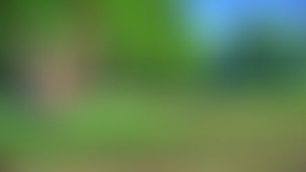 Wie lässt sich das Problem hoher Bodenpreise lösen?