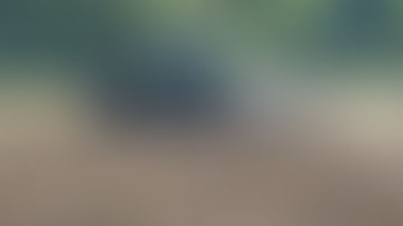 Der Krieg erhöht den Druck auf die Landwirtschaft