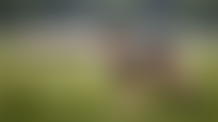 Wolf im Jagdrecht: Alter Streit und neue Fragen