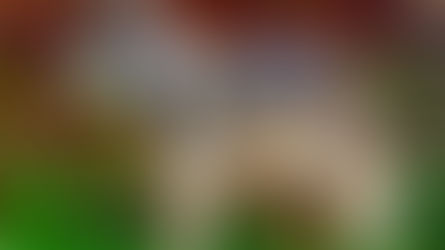 Sogar Rentiere wurden zur Beute