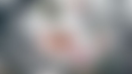 „Frost hat die Ernte vernichtet“