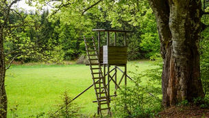 Überlegungen für eine Reform der Jagdausbildung