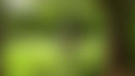 Überlegungen für eine Reform der Jagdausbildung