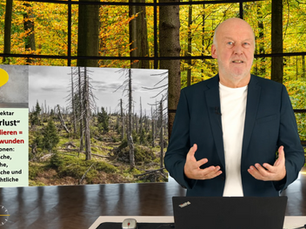 900.000 Hektar Wald verloren oder 1,5 Mio. dazugekommen?