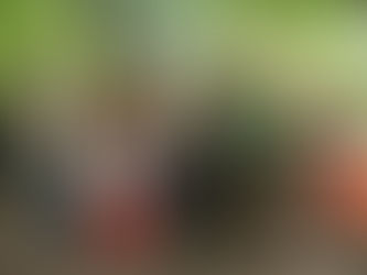 Heute im Blog: Umweltbildung ganz konkret mit Rotary und natur+mensch