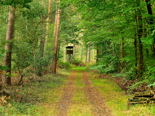 Heute im Blog: Jagd aus Sicht der Berufsjäger im anhaltenden Wandel