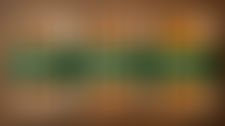 Kulturkämpfe, Verkehrskonflikte und Krisen im ländlichen Raum