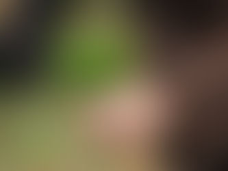 Frisch aus dem Wald auf den Tisch: „Clean Eating“