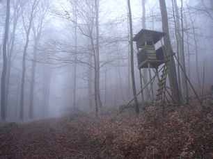 Neues LJagdG RLP vom Landtag beschlossen: Welche Fallstricke enthält das Gesetz für die jagdliche Praxis?
