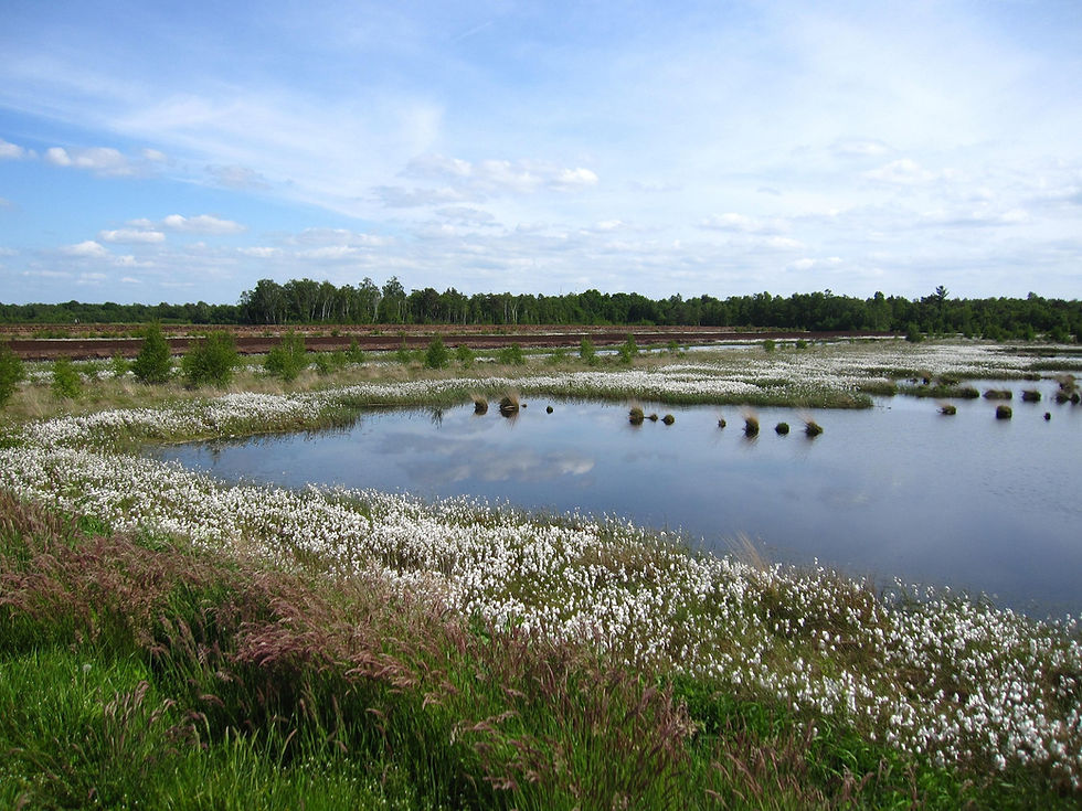 Foto: AnnaAnouk