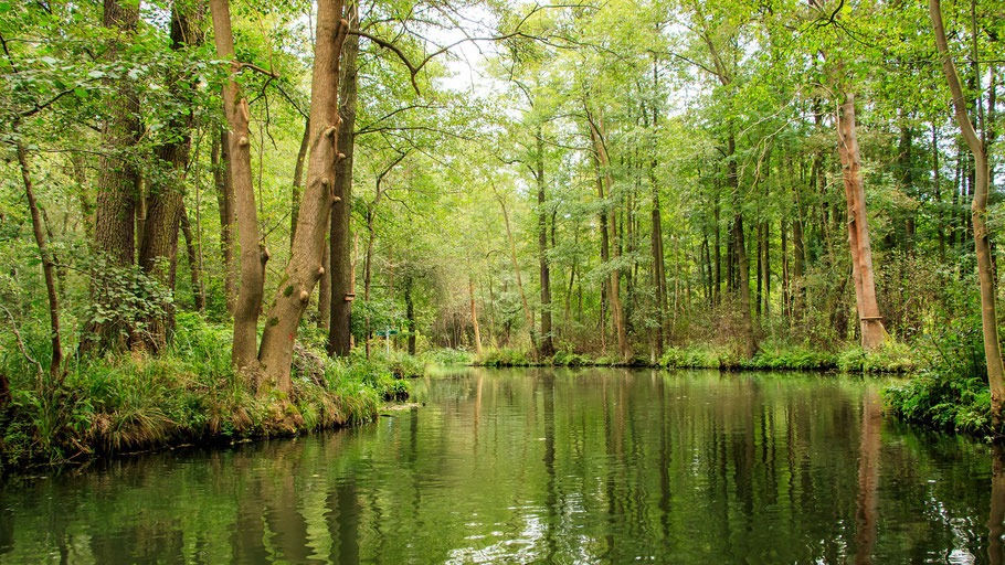 Spreewald