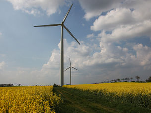 Das große Wehklagen an der Küste