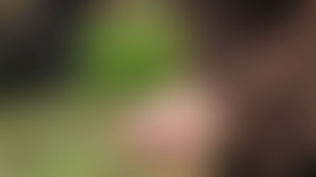 Frisch aus dem Wald auf den Tisch: „Clean Eating“