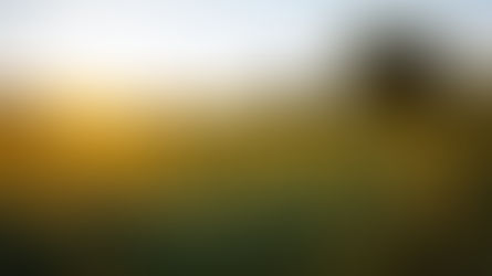 Das Land braucht mehr Zuversicht