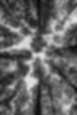 keisuke-higashio-hJ51X8nUtTk-unsplash.jp
