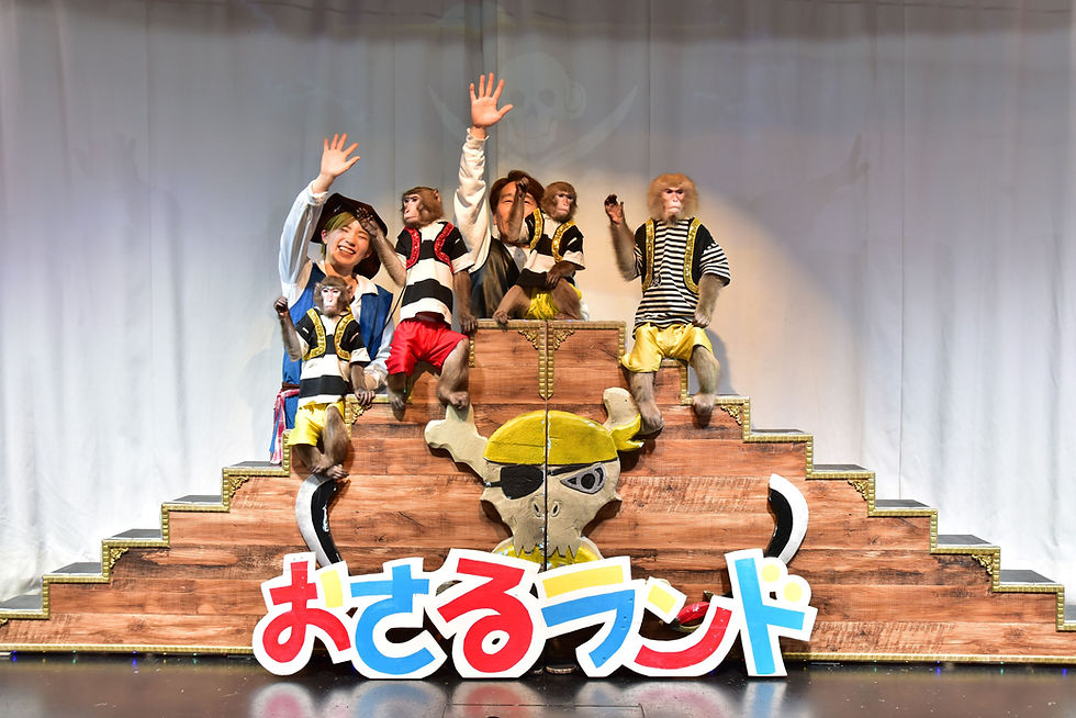 サンプル