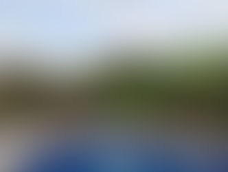 Cerveceria BEERKINGO