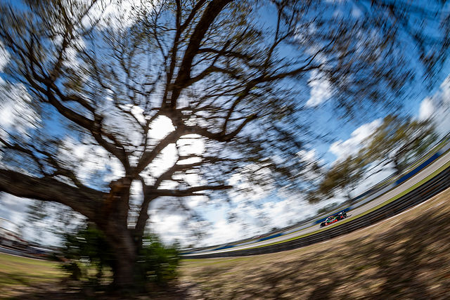 Sebring, 2026 race weekend — photograph 6
