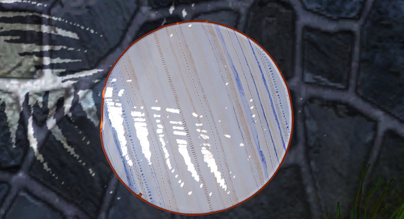 GROUNDED COMPANY RUGS