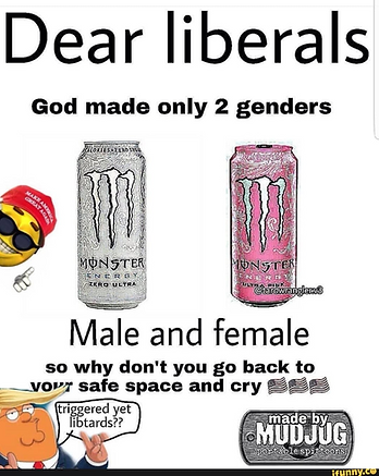 image (3).png