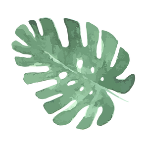 Monstera Leaf Illustration_edited.png